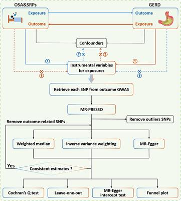 Causal association of gastroesophageal reflux disease with obstructive sleep apnea and sleep-related phenotypes: a bidirectional two-sample Mendelian randomization study